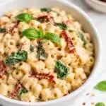 Close up of creamy pasta in white bowl with basil leaves spinach and sun dried tomatoes